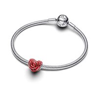Charm Pandora Donna in Argento 793673C01 - 793673C01